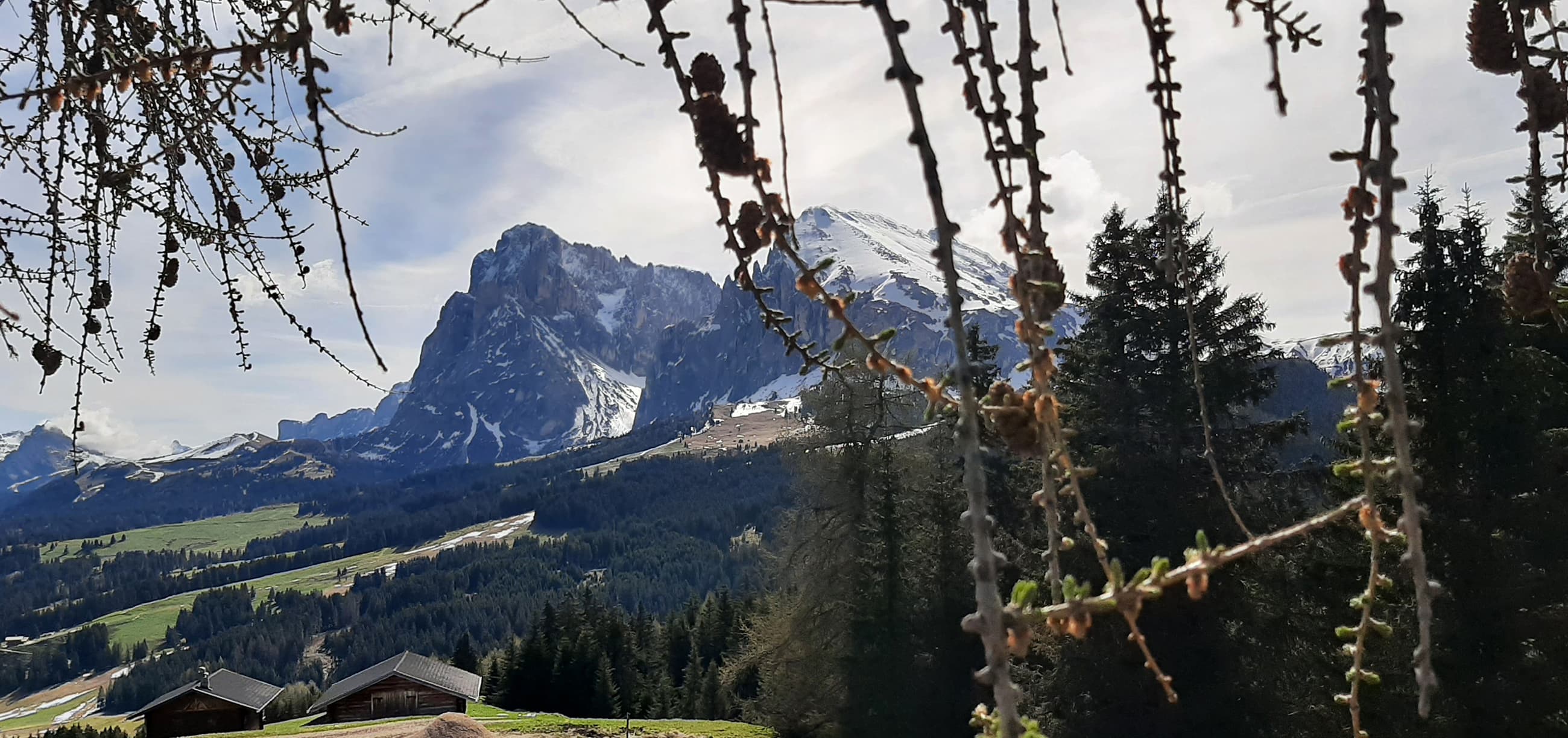 formsun hof kastelruth bauernhofurlaub suedtirol alm seiser alm 20
