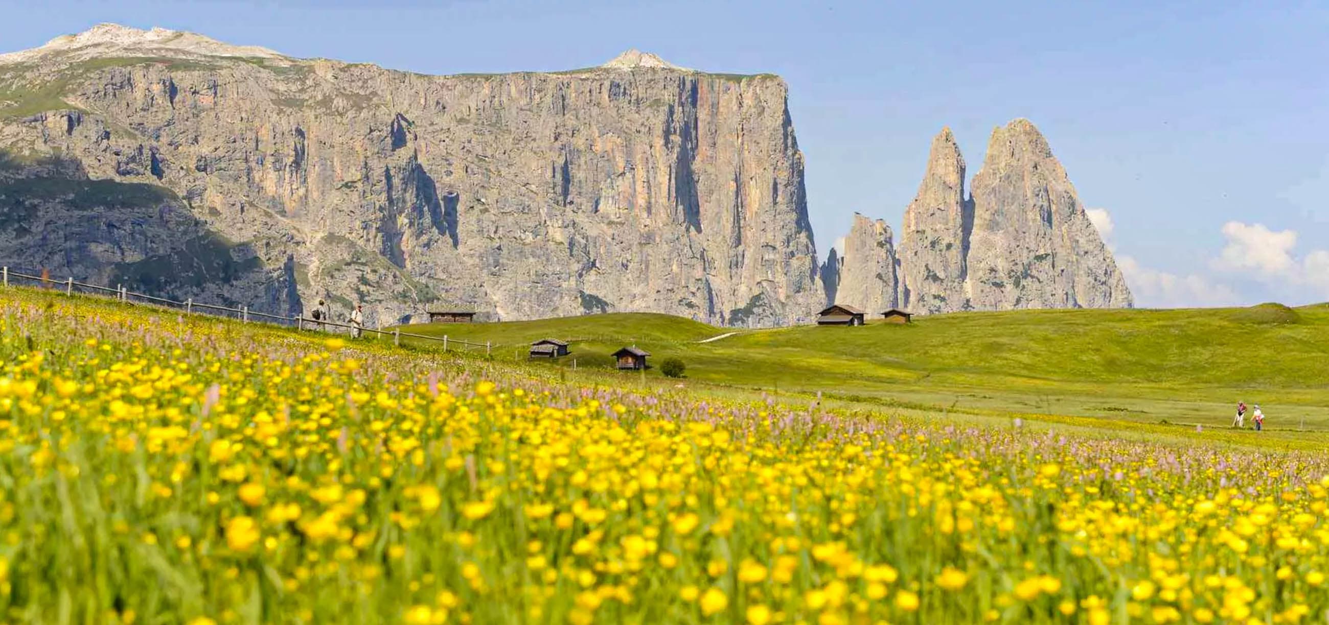 Frühling Sommer Wanderurlaub Dolomiten Südtirol Kastelruth Seiser Alm Schlerngebiet (1)