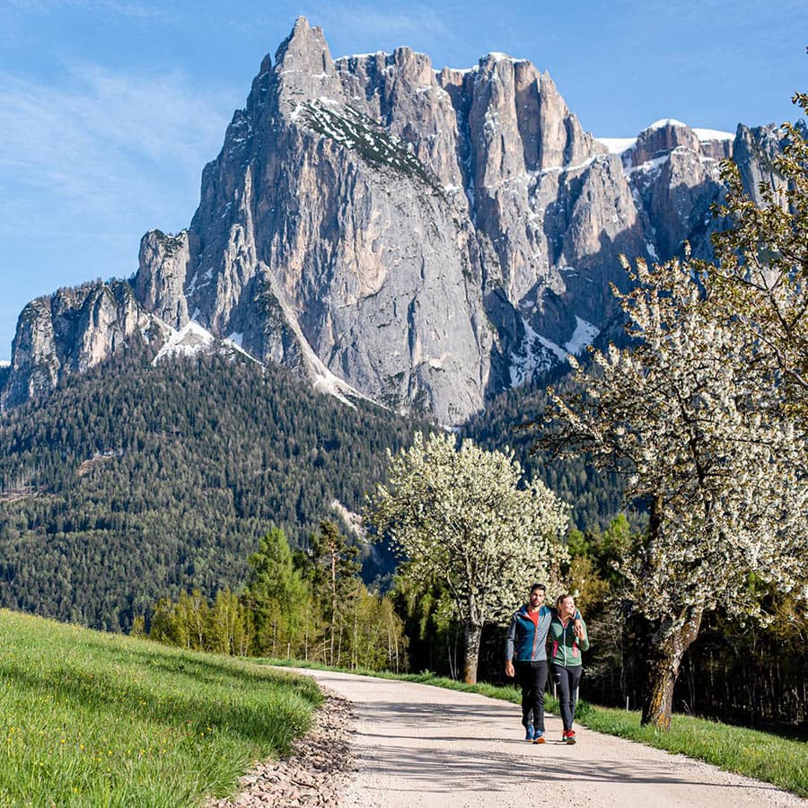 Frühling Sommer Wanderurlaub Dolomiten Südtirol Kastelruth Seiser Alm Schlerngebiet2 Frühling Sommer Wanderurlaub Dolomiten Südtirol Kastelruth Seiser Alm Schlerngebiet2