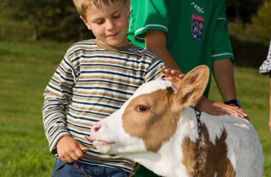 Kinderurlaub Seiser Alm Südtirol (3)