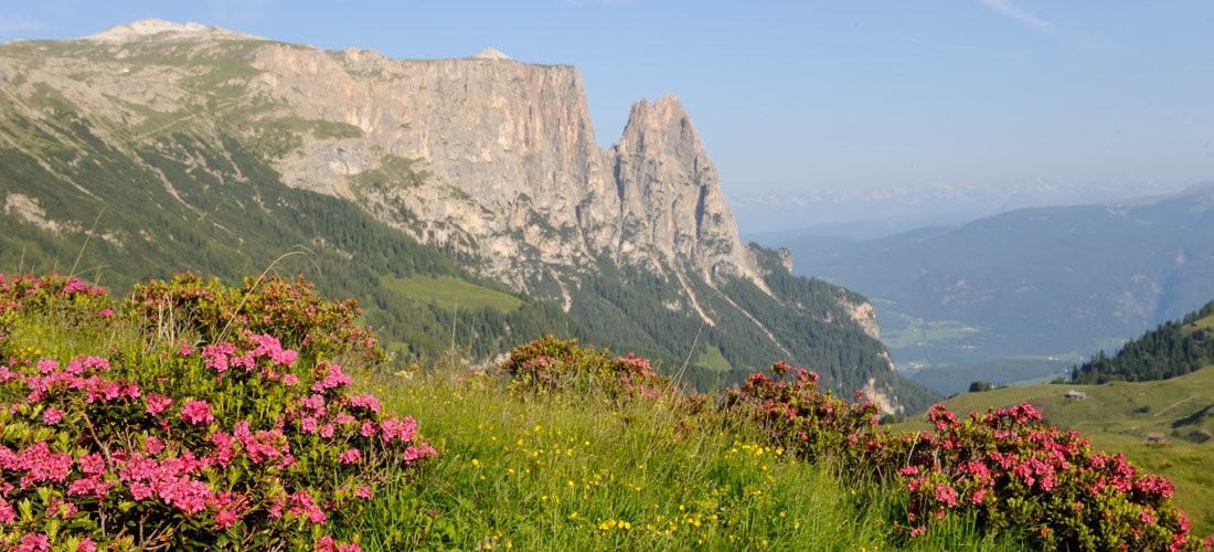 Seiser Alm - ein Mekka für Wanderfreunde und Naturliebhaber