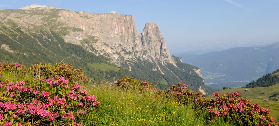 Alpe di Siusi – un Eldorado per escursionisti e amanti della natura