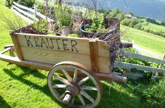 Vacanza in fattoria colazione fattoria prodotti del maso alto-adige 02